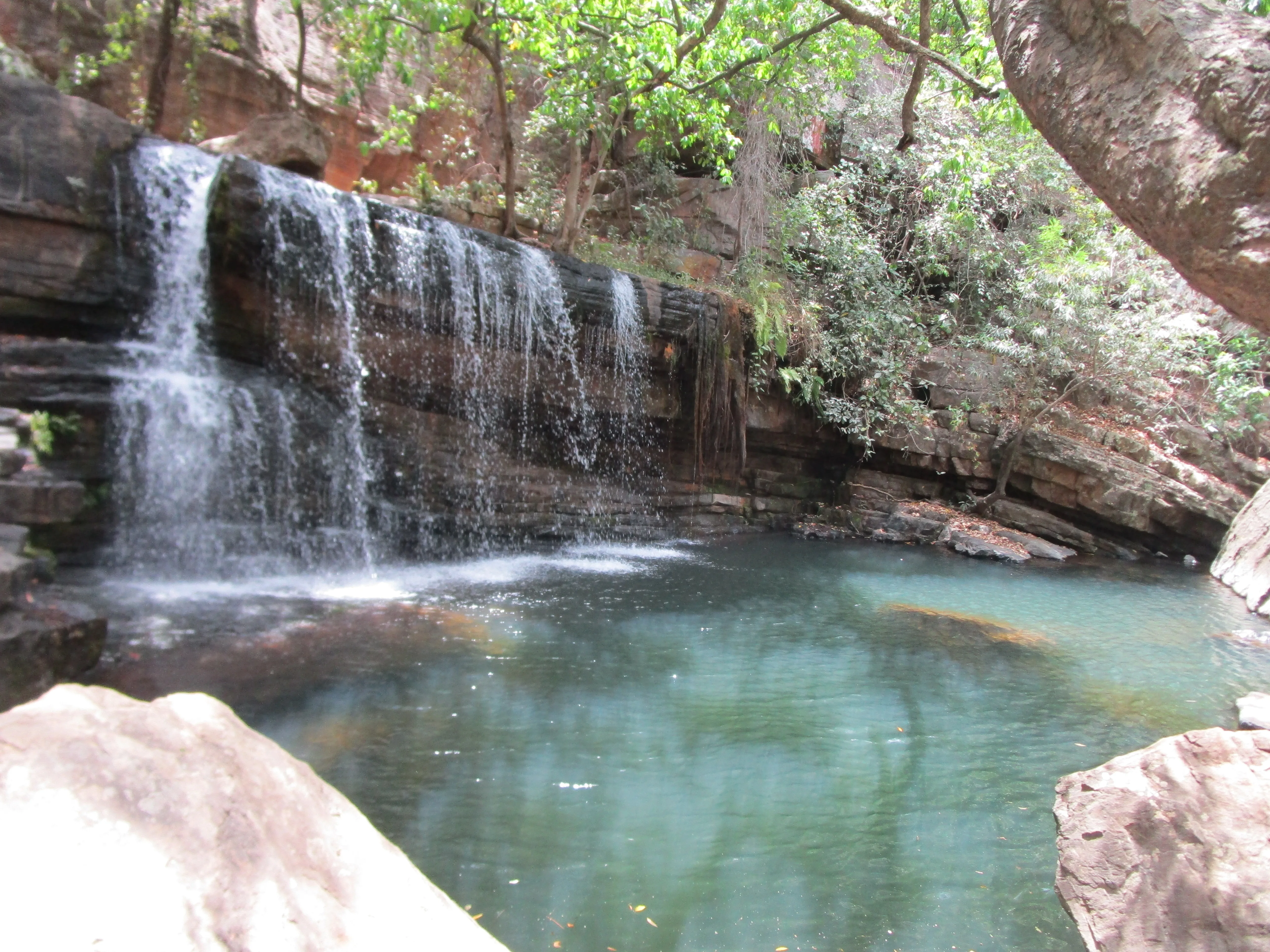 Cascade piscine naturelle