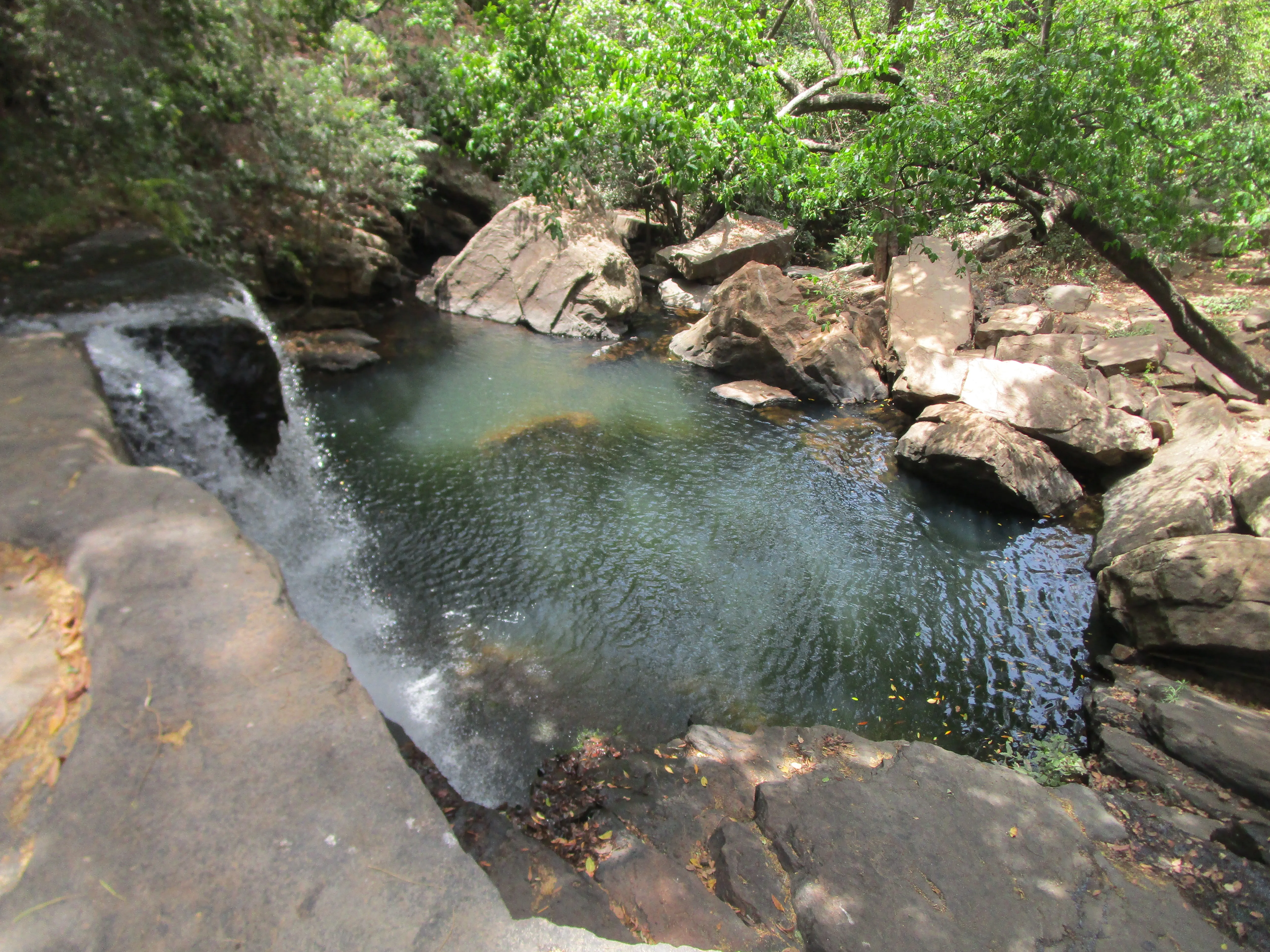 cascade rochers piscine nature
